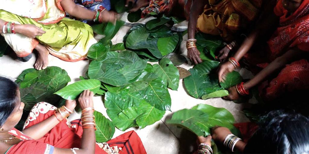 Image for making Shaal leaf plate in a Keonjhar Village in Odisha