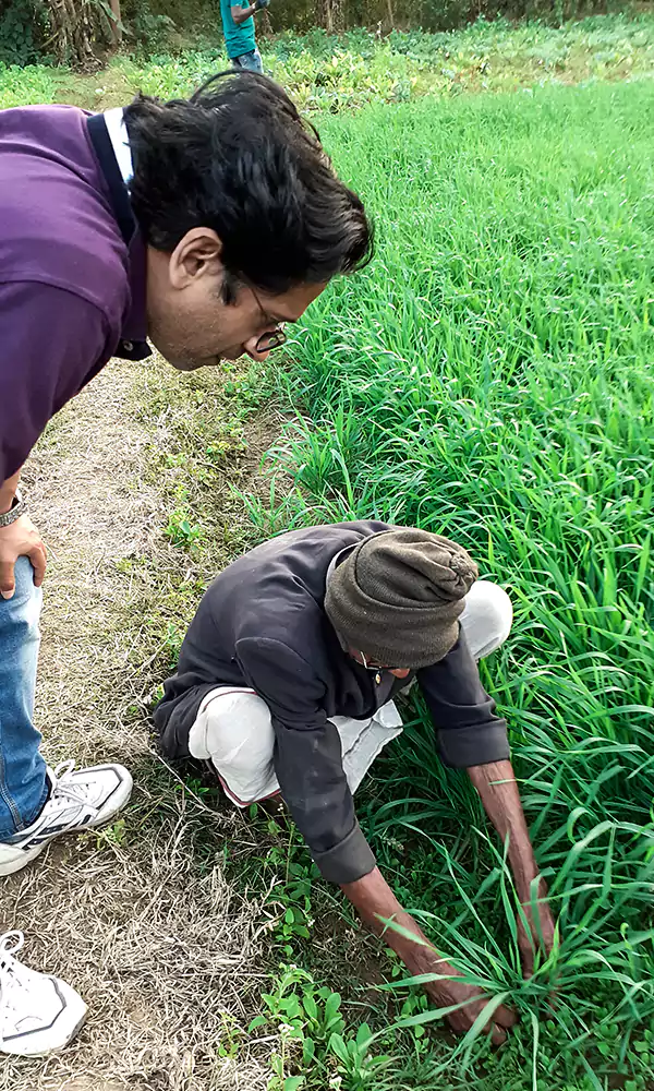 image of an elderly gap farmer showing his crop health