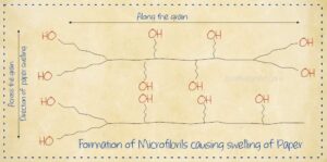 A Brief Chemistry of Paper [Pulp Manufacturing & Processing]
