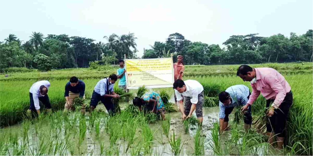 header image for the blog on csr programs post schedule vii amendments